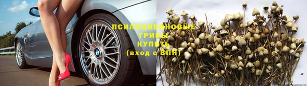 mdpv Новокубанск