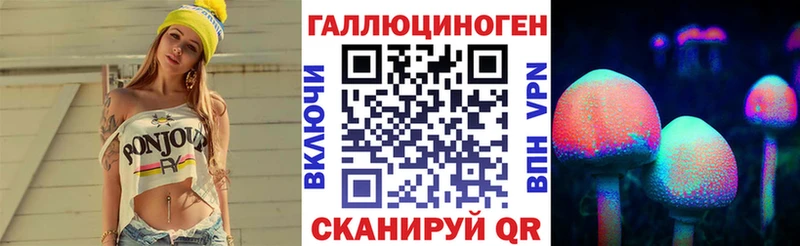 Галлюциногенные грибы Psilocybine cubensis  Семикаракорск 